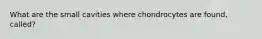 What are the small cavities where chondrocytes are found, called?