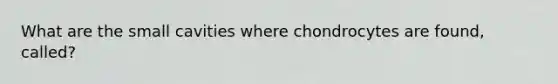 What are the small cavities where chondrocytes are found, called?