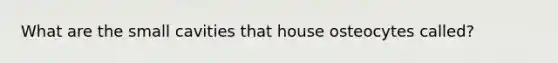 What are the small cavities that house osteocytes called?