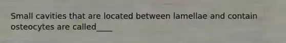 Small cavities that are located between lamellae and contain osteocytes are called____