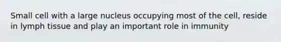 Small cell with a large nucleus occupying most of the cell, reside in lymph tissue and play an important role in immunity