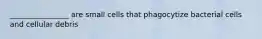 ________________ are small cells that phagocytize bacterial cells and cellular debris