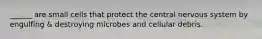 ______ are small cells that protect the central nervous system by engulfing & destroying microbes and cellular debris.