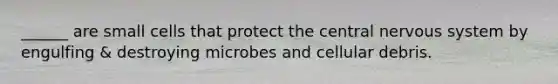 ______ are small cells that protect the central nervous system by engulfing & destroying microbes and cellular debris.