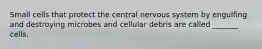 Small cells that protect the central nervous system by engulfing and destroying microbes and cellular debris are called _______ cells.