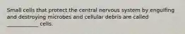 Small cells that protect the central nervous system by engulfing and destroying microbes and cellular debris are called ____________ cells.