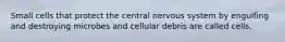 Small cells that protect the central nervous system by engulfing and destroying microbes and cellular debris are called cells.