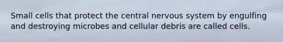 Small cells that protect the central nervous system by engulfing and destroying microbes and cellular debris are called cells.