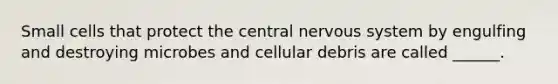 Small cells that protect the central nervous system by engulfing and destroying microbes and cellular debris are called ______.