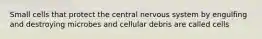 Small cells that protect the central nervous system by engulfing and destroying microbes and cellular debris are called cells