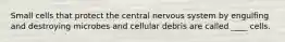 Small cells that protect the central nervous system by engulfing and destroying microbes and cellular debris are called ____ cells.