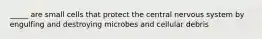 _____ are small cells that protect the central nervous system by engulfing and destroying microbes and cellular debris