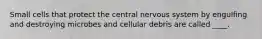 Small cells that protect the central nervous system by engulfing and destroying microbes and cellular debris are called ____.