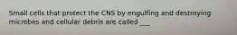 Small cells that protect the CNS by engulfing and destroying microbes and cellular debris are called ___