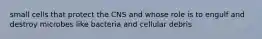 small cells that protect the CNS and whose role is to engulf and destroy microbes like bacteria and cellular debris