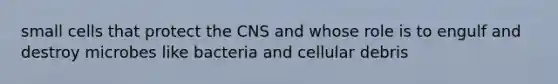 small cells that protect the CNS and whose role is to engulf and destroy microbes like bacteria and cellular debris