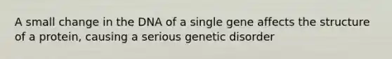 A small change in the DNA of a single gene affects the structure of a protein, causing a serious genetic disorder