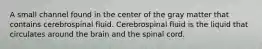 A small channel found in the center of the gray matter that contains cerebrospinal fluid. Cerebrospinal fluid is the liquid that circulates around the brain and the spinal cord.