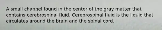 A small channel found in the center of the gray matter that contains cerebrospinal fluid. Cerebrospinal fluid is the liquid that circulates around <a href='https://www.questionai.com/knowledge/kLMtJeqKp6-the-brain' class='anchor-knowledge'>the brain</a> and <a href='https://www.questionai.com/knowledge/kkAfzcJHuZ-the-spinal-cord' class='anchor-knowledge'>the spinal cord</a>.