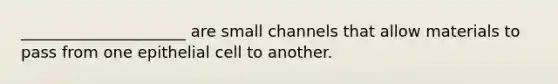 _____________________ are small channels that allow materials to pass from one epithelial cell to another.