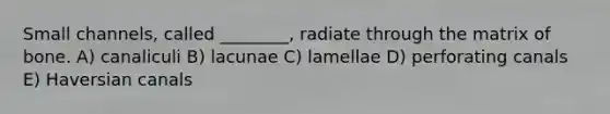 Small channels, called ________, radiate through the matrix of bone. A) canaliculi B) lacunae C) lamellae D) perforating canals E) Haversian canals