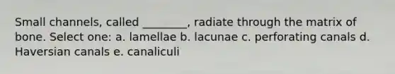 Small channels, called ________, radiate through the matrix of bone. Select one: a. lamellae b. lacunae c. perforating canals d. Haversian canals e. canaliculi