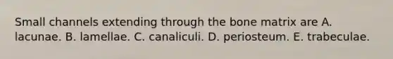 Small channels extending through the bone matrix are A. lacunae. B. lamellae. C. canaliculi. D. periosteum. E. trabeculae.