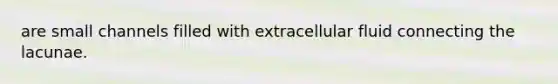 are small channels filled with extracellular fluid connecting the lacunae.