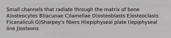 Small channels that radiate through the matrix of bone A)osteocytes B)lacunae C)lamellae D)osteoblasts E)osteoclasts F)canaliculi G)Sharpey's ﬁbers H)epiphyseal plate I)epiphyseal line J)osteons