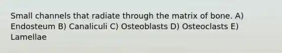 Small channels that radiate through the matrix of bone. A) Endosteum B) Canaliculi C) Osteoblasts D) Osteoclasts E) Lamellae