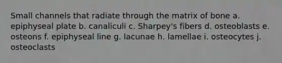 Small channels that radiate through the matrix of bone a. epiphyseal plate b. canaliculi c. Sharpey's fibers d. osteoblasts e. osteons f. epiphyseal line g. lacunae h. lamellae i. osteocytes j. osteoclasts