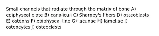 Small channels that radiate through the matrix of bone A) epiphyseal plate B) canaliculi C) Sharpey's fibers D) osteoblasts E) osteons F) epiphyseal line G) lacunae H) lamellae I) osteocytes J) osteoclasts