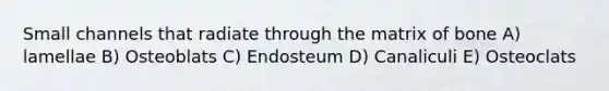 Small channels that radiate through the matrix of bone A) lamellae B) Osteoblats C) Endosteum D) Canaliculi E) Osteoclats