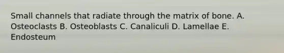 Small channels that radiate through the matrix of bone. A. Osteoclasts B. Osteoblasts C. Canaliculi D. Lamellae E. Endosteum