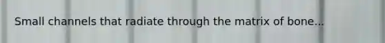 Small channels that radiate through the matrix of bone...