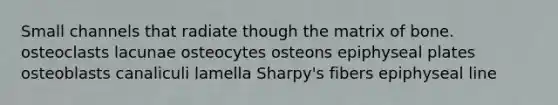 Small channels that radiate though the matrix of bone. osteoclasts lacunae osteocytes osteons epiphyseal plates osteoblasts canaliculi lamella Sharpy's fibers epiphyseal line