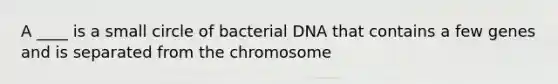 A ____ is a small circle of bacterial DNA that contains a few genes and is separated from the chromosome