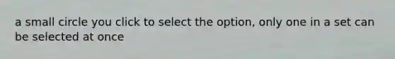 a small circle you click to select the option, only one in a set can be selected at once