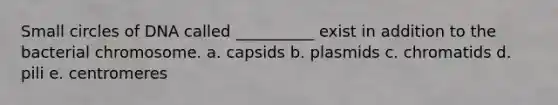 Small circles of DNA called __________ exist in addition to the bacterial chromosome. a. capsids b. plasmids c. chromatids d. pili e. centromeres