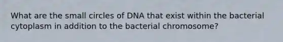 What are the small circles of DNA that exist within the bacterial cytoplasm in addition to the bacterial chromosome?