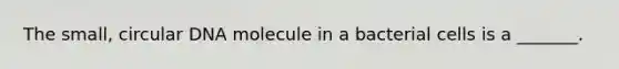 The small, circular DNA molecule in a bacterial cells is a _______.