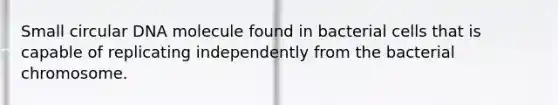 Small circular DNA molecule found in bacterial cells that is capable of replicating independently from the bacterial chromosome.
