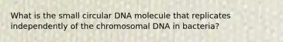 What is the small circular DNA molecule that replicates independently of the chromosomal DNA in bacteria?