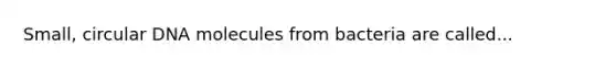 Small, circular DNA molecules from bacteria are called...