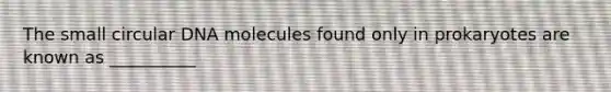 The small circular DNA molecules found only in prokaryotes are known as __________