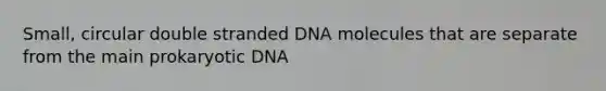 Small, circular double stranded DNA molecules that are separate from the main prokaryotic DNA