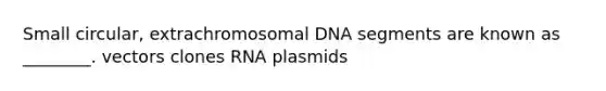 Small circular, extrachromosomal DNA segments are known as ________. vectors clones RNA plasmids