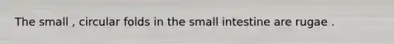 The small , circular folds in the small intestine are rugae .