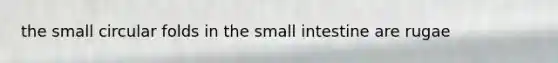 the small circular folds in the small intestine are rugae