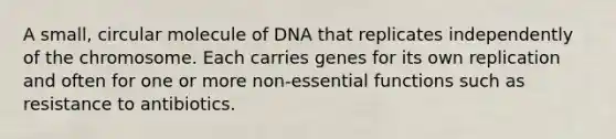 A small, circular molecule of DNA that replicates independently of the chromosome. Each carries genes for its own replication and often for one or more non-essential functions such as resistance to antibiotics.